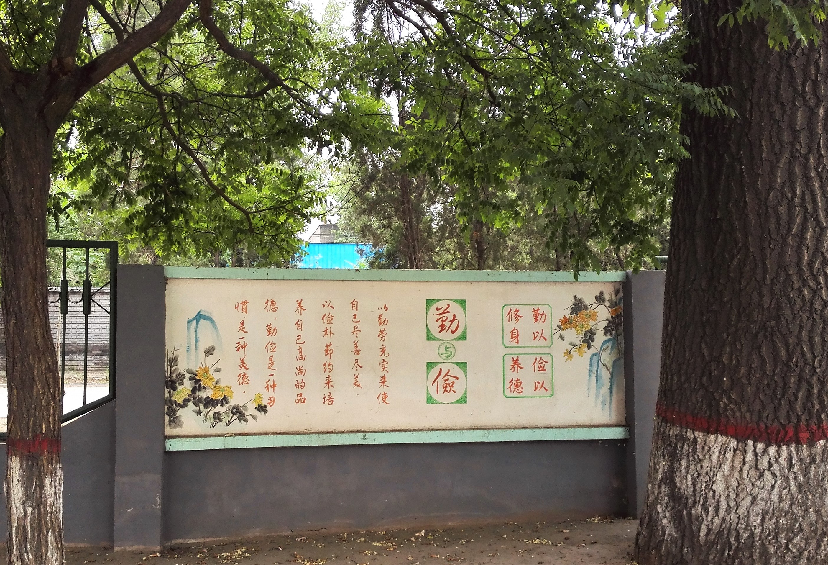 13.校園文化，根深葉茂.jpg